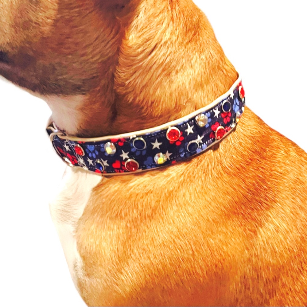 Pawty in the USA collar 🇺🇸